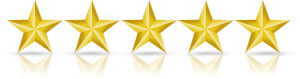 5-out-of-5-stars